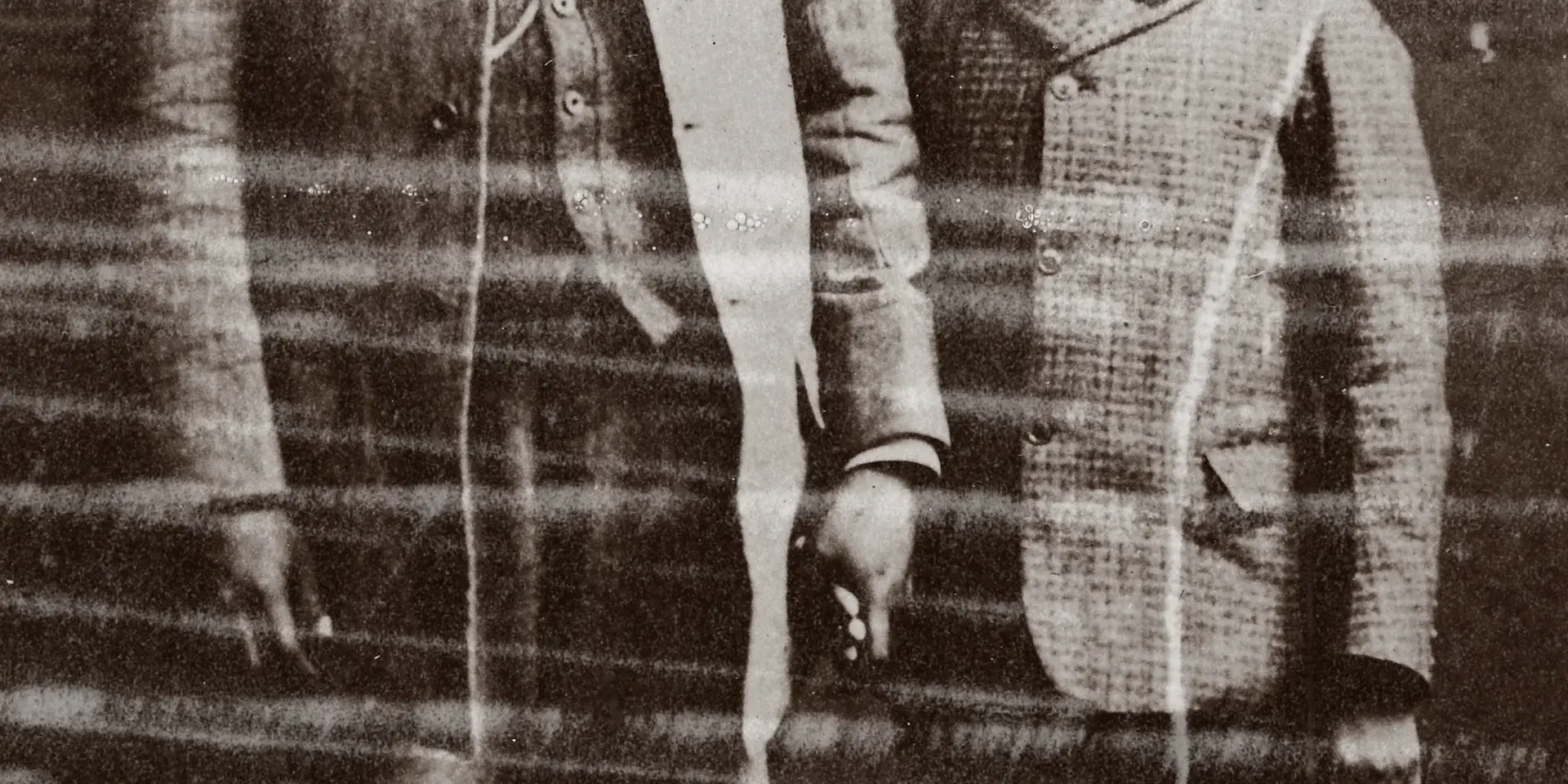 Memoria de las mariposas